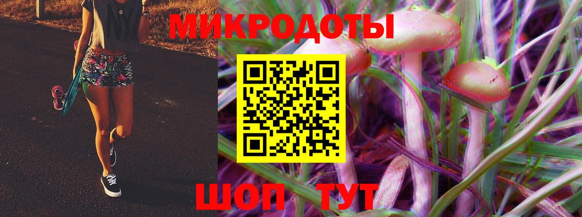 Галлюциногенные грибы Psilocybine cubensis  Вход с VPN  Якутск 