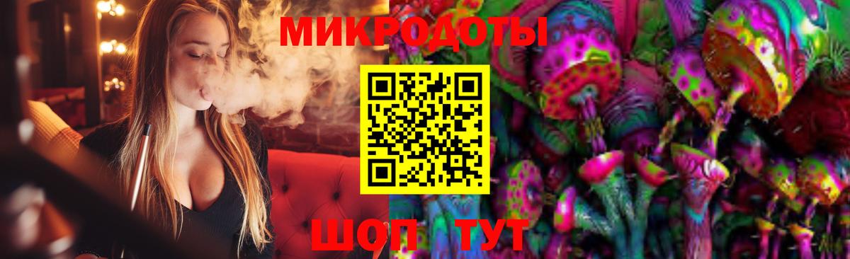 Псилоцибиновые грибы мицелий Якутск